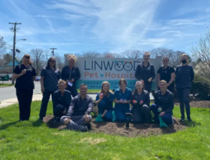 Linwood Pet Hospital Team Photo